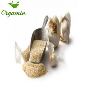 پودر سیر
