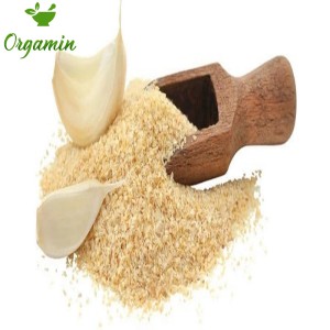 پودر سیر