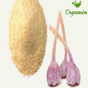 پودر سیر