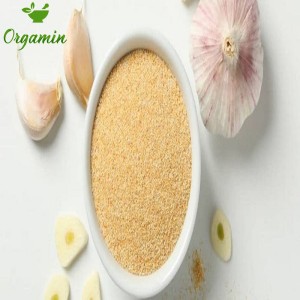 پودر سیر