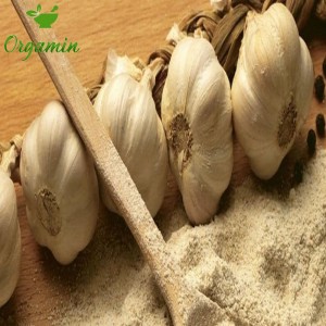 پودر سیر