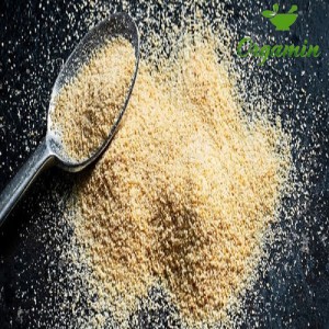 پودر سیر