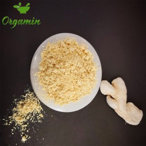 پودر زنجبیل اصل و خالص با کیفیت ممتاز