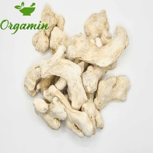 زنجبیل قلم - یک کیلو