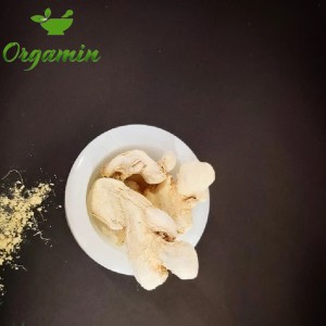 زنجبیل قلم تازه و با کیفیت
