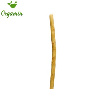 چوب مسواک سنتی گیاهی برای تمیز کردن دندان و تقویت لثه