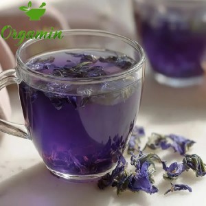 گل‌های خشک پنیرک در ظرف شیشه‌ای برای تهیه دمنوش گیاهی آرام‌بخش
