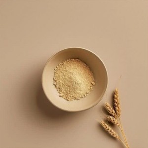 پودر مالت جو باکیفیت و تازه