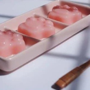ژلاتین برای دسر