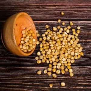 ذرت خشک برای پاپ کورن