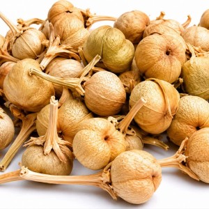 اسپند قپه ( اسپند نخودی )