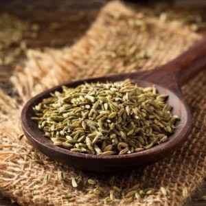 انیسون (بادیان رومی)
