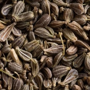 انیسون (بادیان رومی)