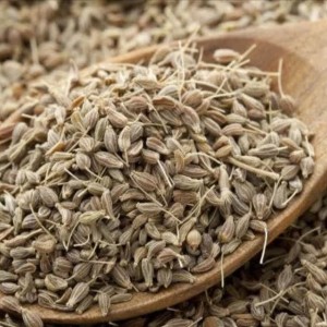 انیسون (بادیان رومی)