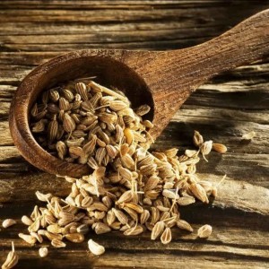 انیسون (بادیان رومی)