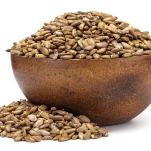 دانه خار مریم تازه