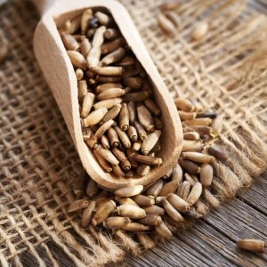 دانه خار مریم تازه