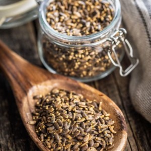 دانه خار مریم تازه