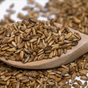دانه خار مریم تازه