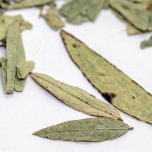 خرید برگ سنا