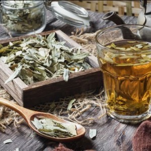خرید برگ سنا