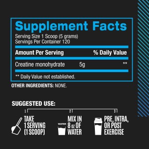 BPI MICRONIZED CREATINE 600G - کراتین میکرونایزد بی پی آی اسپورت