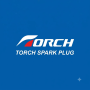 تورچ (TORCH)