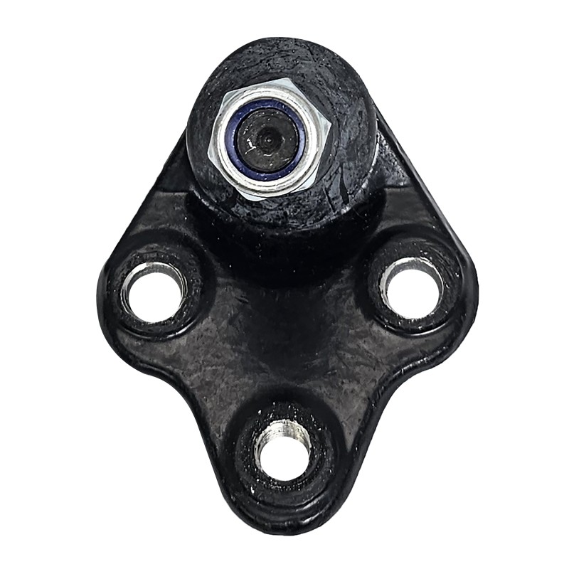 سیبک طبق فونیکس | وجودی