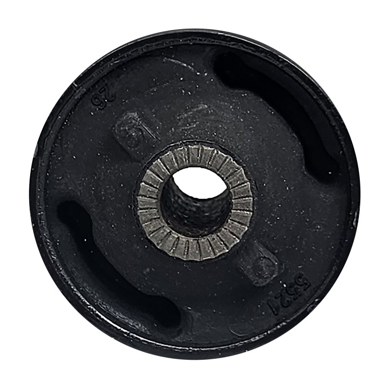 بوش طبق بزرگ چری آریزو 5، 6 | وجودی