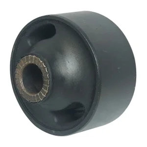 بوش طبق بزرگ فونیکس | وجودی