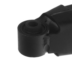 دو شاخ رام پژو 206، 207