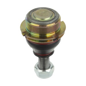 سیبک طبق زانتیا | وجودی