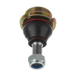 سیبک طبق زانتیا