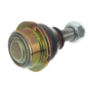 سیبک طبق زانتیا