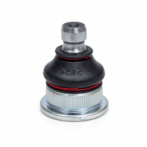 سیبک طبق مگان | وجودی