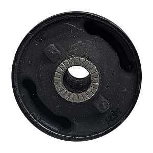 بوش طبق بزرگ چری آریزو 5، 6 | وجودی