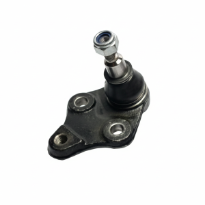 سیبک طبق شاهین | وجودی