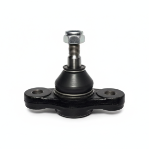 سیبک طبق مناسب چانگان  | وجودی