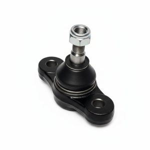 سیبک طبق مناسب چانگان  | وجودی