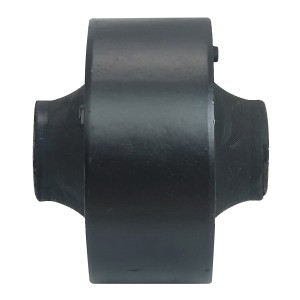 بوش طبق بزرگ آریو Z300