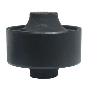 بوش طبق بزرگ آریو Z300