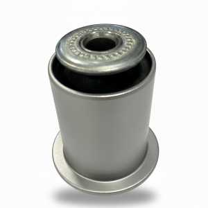 بوش طبق بزرگ پایین کلوت | وجودی