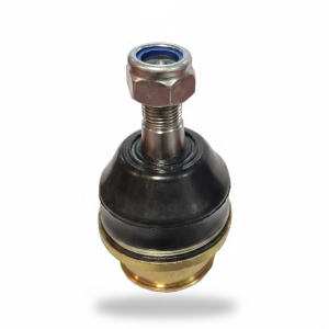 سیبک طبق پایین کلوت