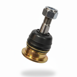 سیبک طبق بالا کلوت | وجودی