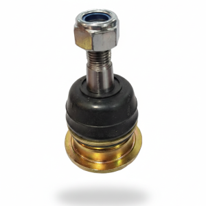 سیبک طبق بالا کلوت | وجودی