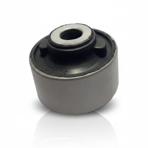 بوش طبق تارا | وجودی