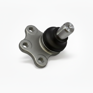 سیبک طبق تارا | وجودی