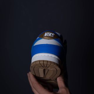 nikedunklow