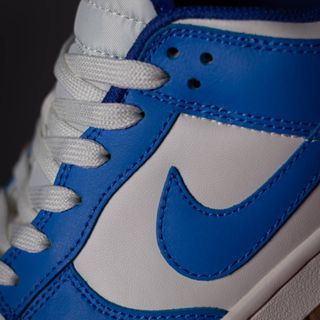 nikedunklow