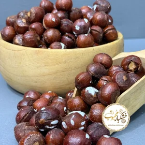 فندق برشته